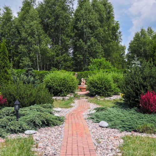 landscape installation