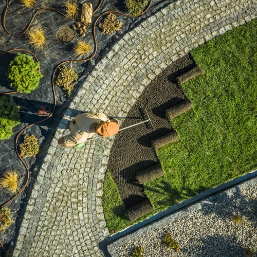 gardener-in-newly-build-backyard-garden-2025-03-15-00-27-12-utc-min